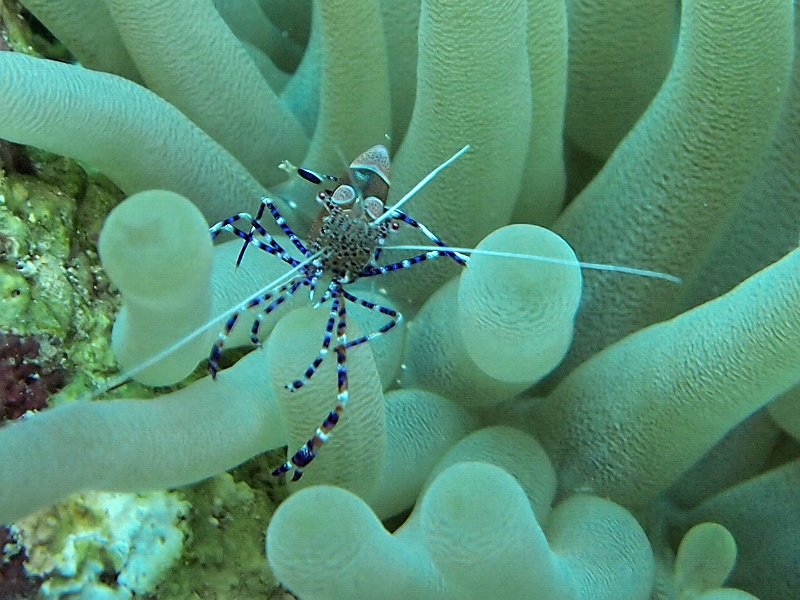 Curacao 04-12 049.jpg